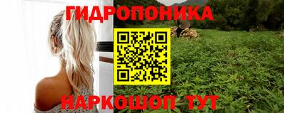гидропоника Пушкино
