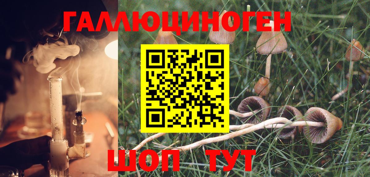 Псилоцибиновые грибы Cubensis  Галлюциногенные грибы GOLDEN TEACHER  Вход с VPN  Минусинск 